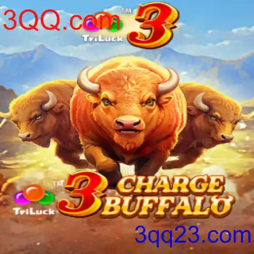 3ChargeBuffalo